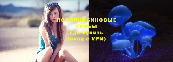МДПВ Надым
