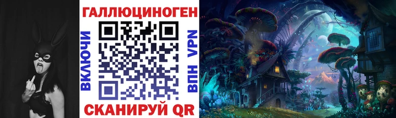 Галлюциногенные грибы Psilocybe Тихвин